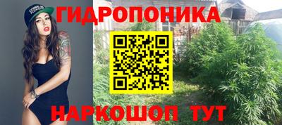 дурь Жуковский